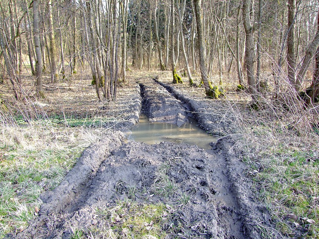 Menschen gestalten, und bilden mit ihren Gertschaften unschne Wege, welche u.U. fatale Folgen fr Fauna und Flora nach sich ziehen knnte;120318