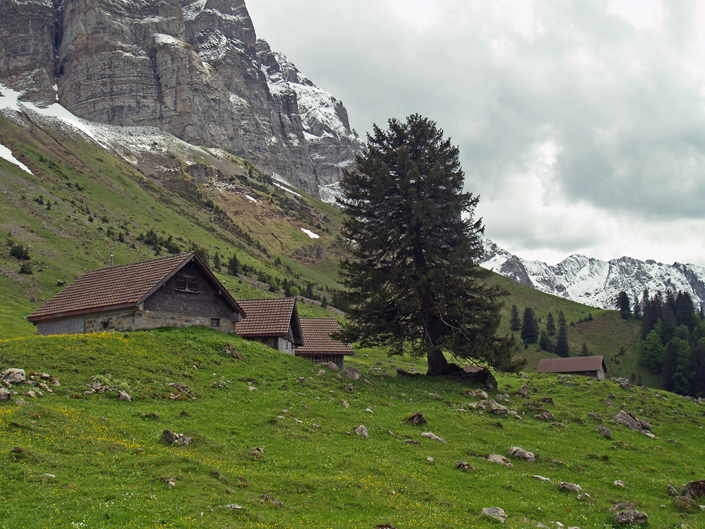 Mittags war am 16.05.2007 das schne Wetter am Sntis schon wieder vorbei, im Gebirge geht sowas ja schnell. Aber von der Schwgalp aus wirkt das schon nicht mehr so bedrohlich.... 