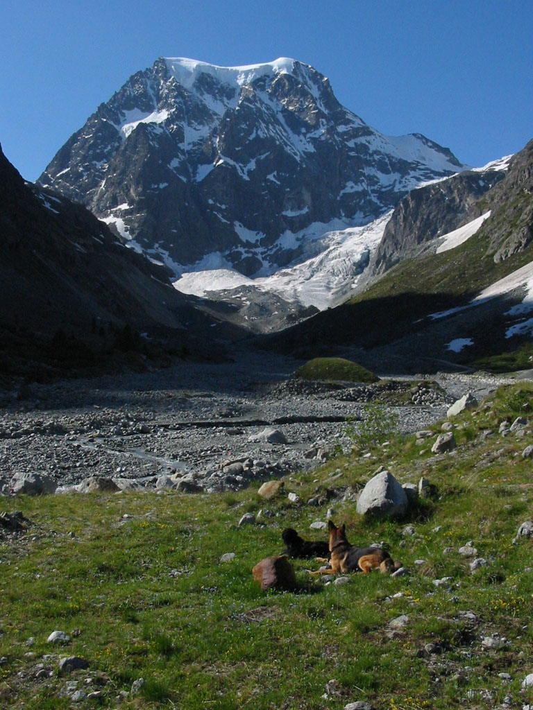 Mont Collon (3637m), aufgenommen auf dem Weg von Arolla Richtung Plans de Bertol am 7.6.2003 um 8:00 Uhr