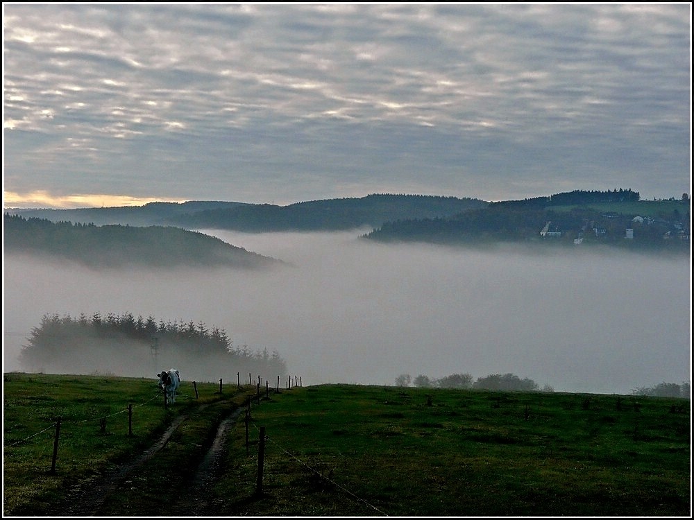 Morgendlicher Nebel in Wiltz am 01.11.2010. (Hans) 