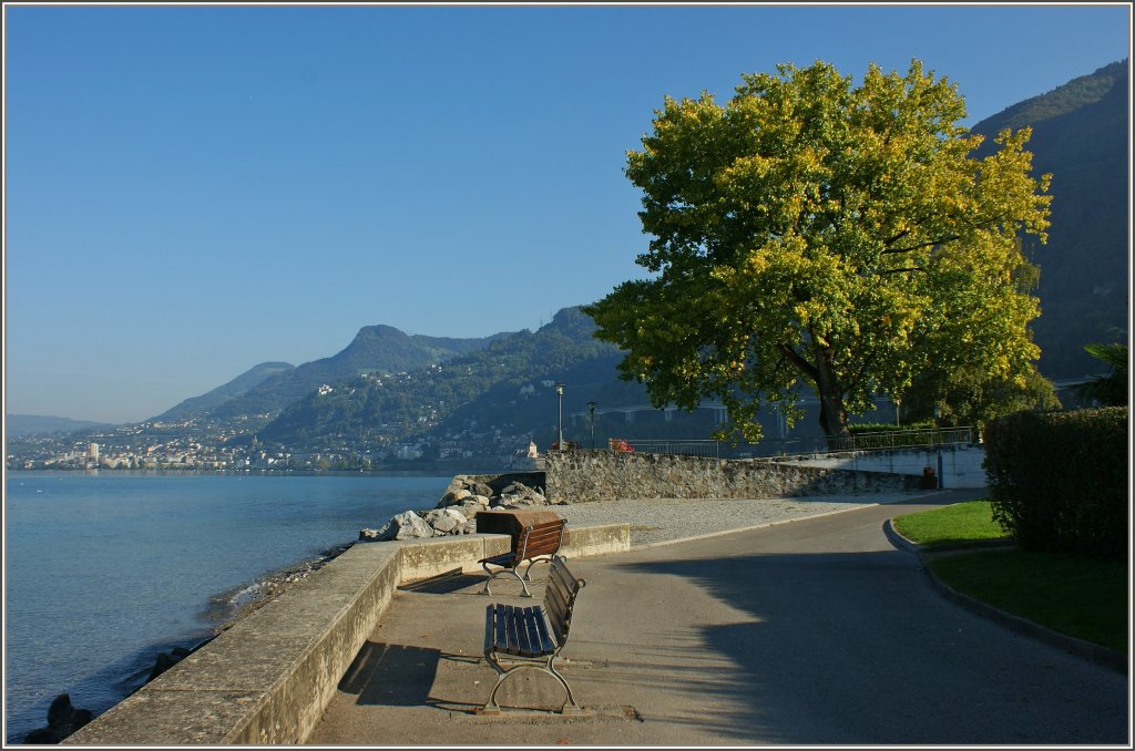 Morgenruhe am Quai des Genfersee, hier bei Villeneuve.
(29.09.2011)