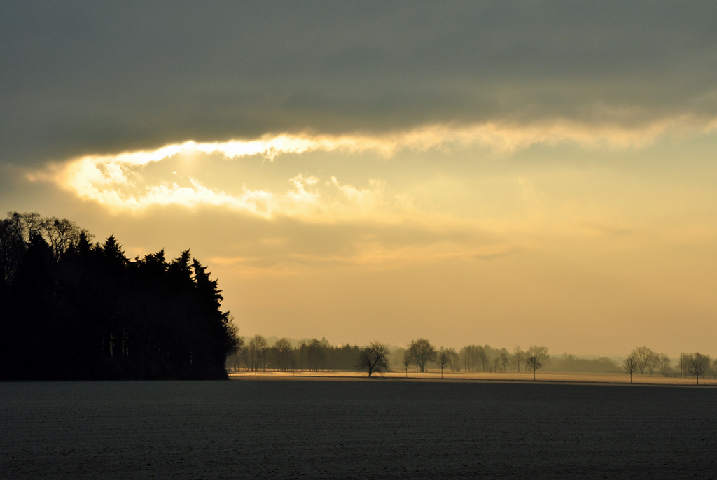 Morgenstimmung kurz nach Sonnenaufgang bei Heimerzheim - 09.02.2012