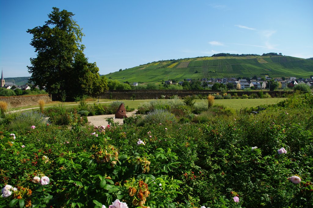 Moseltal bei Krv, Klostergarten Machern (23.08.2009)