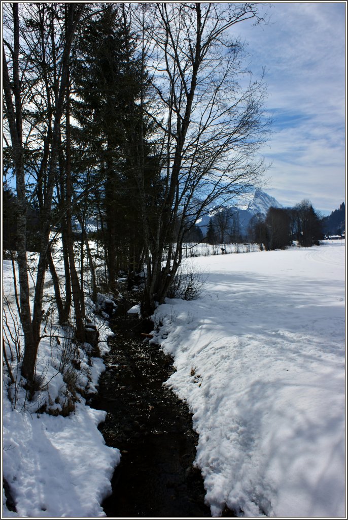 Munter trgt dieses Bchlein das Schmelzwasser davon.
(04.03.2011)