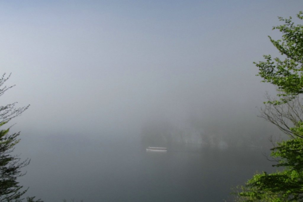 Mystische Nebelbnke am Knigsee  11.5.12