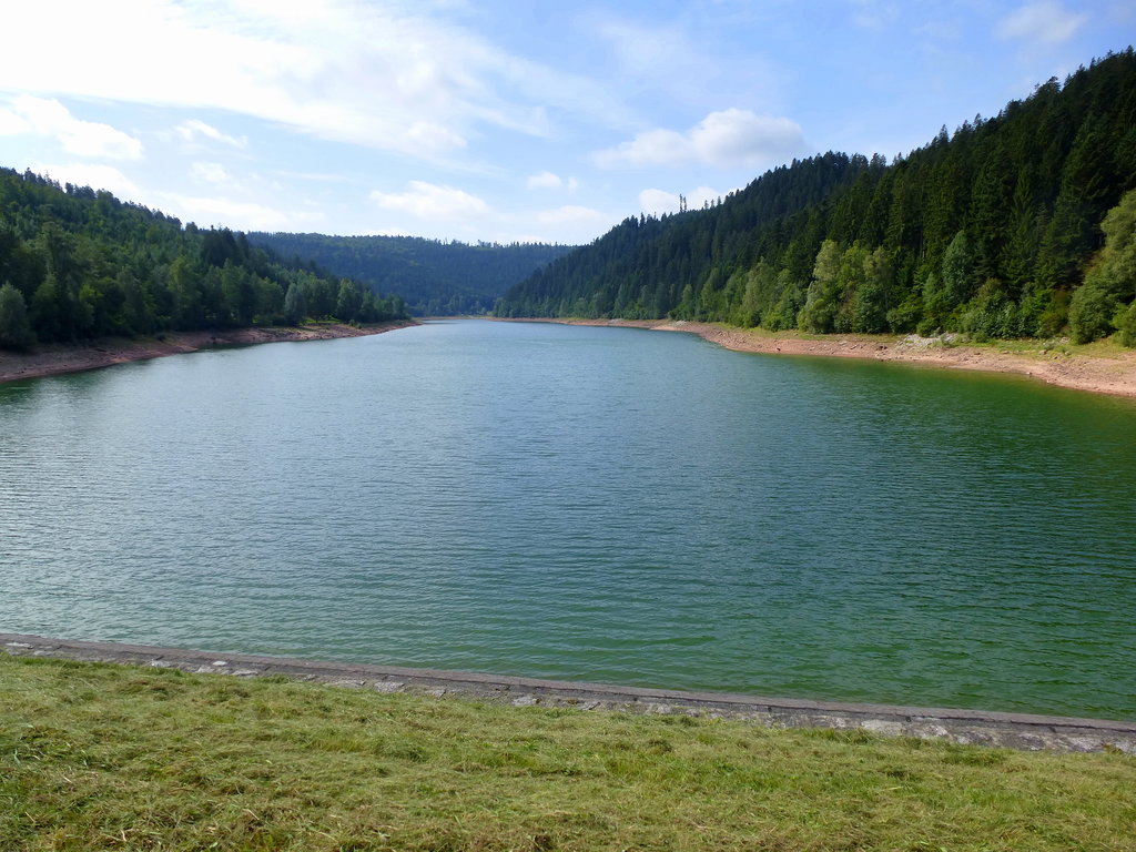 Nagoldtalsperre, Blick vom Staudamm auf die angestaute Nagold, Aug.2017