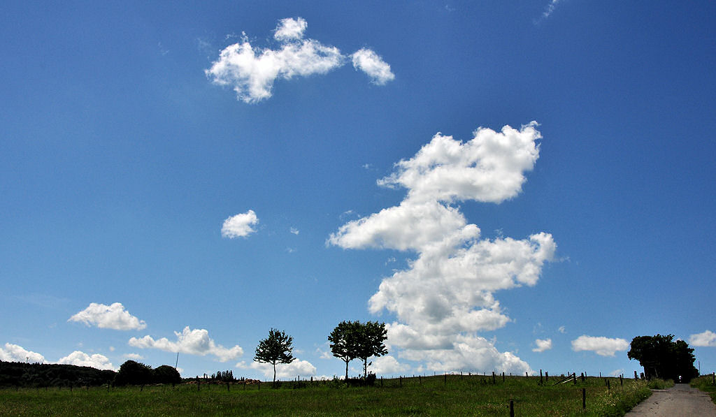 Natur - Wolken, Bume, Himmel - Voreifel 11.06.2010