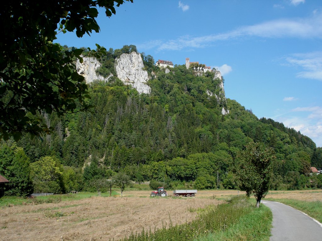 Naturpark Obere Donau, Blick zur Burg Werenwag, Aug.2007