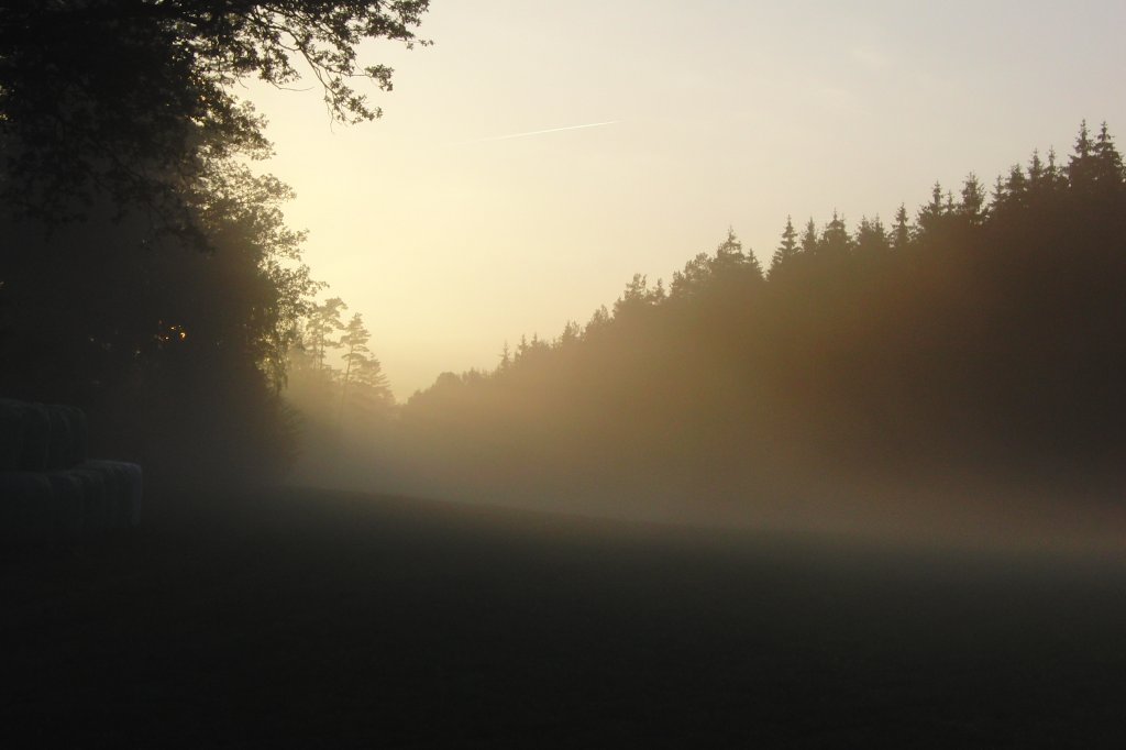 Nebel zieht auf und die letzten Sonnenstrahlen fallen herein. Waldlichtung an der B303,in der Nhe von Gomannsdorf