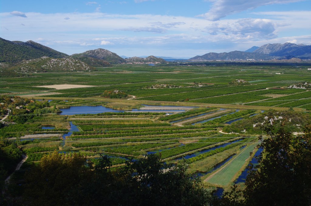 Neretva Delta bei Ston, Tal der Mandarinen und Olivenbume, Kroatien (09.10.2011)