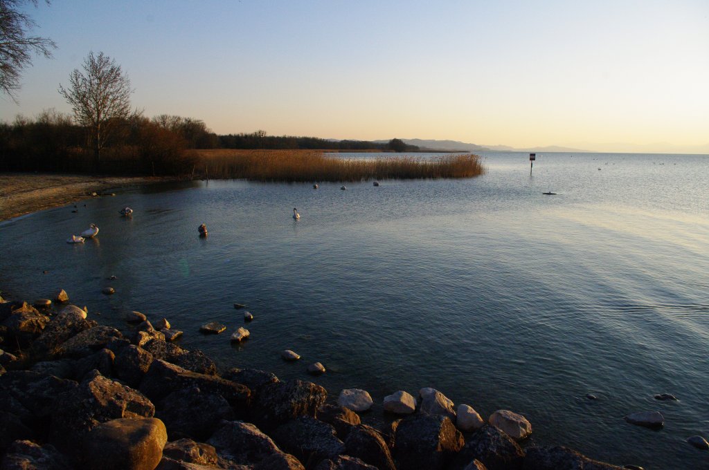 Neuenburger See bei Chevroux (21.03.2011)