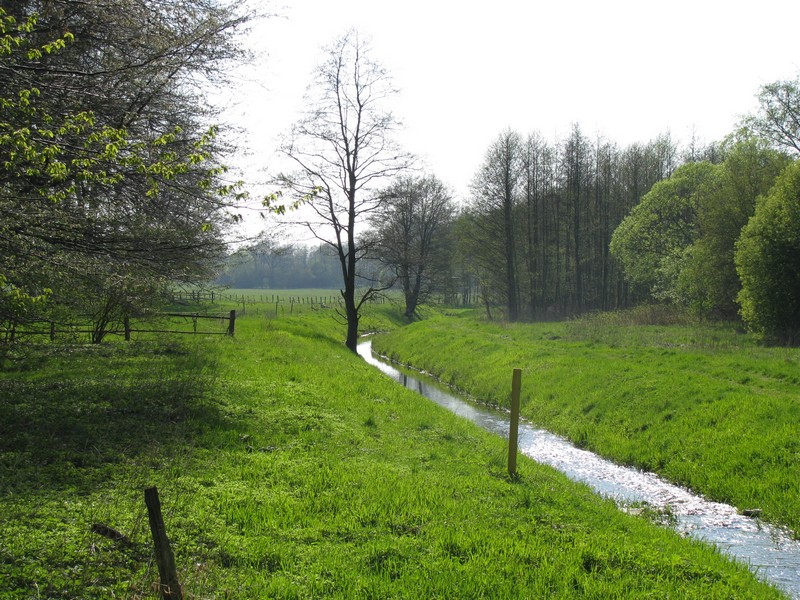 Nordwestmecklenburg; An der Schilde bei Badow an der Strae K 25, 25.04.2010