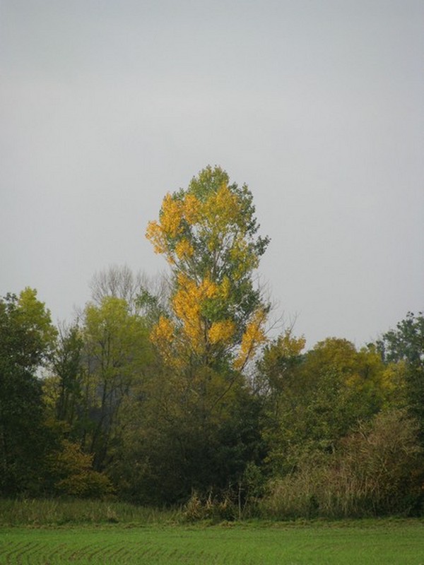 Nordwestmecklenburg, herbstliche Landschaft am Feldweg von Wotenitz/Questin nach Jeese/Bernstorf, 14.10.2008