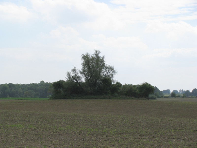 Nordwestmecklenburg; Landschaft am Feldweg von Questin nach Bernstorf, 09.09.2008