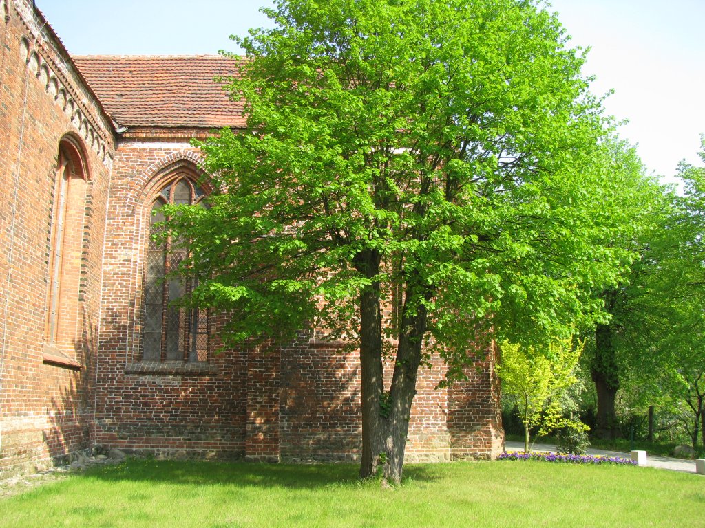 Nordwestmecklenburg; Landschaft an der St.-Nicolai-Kirche, Grevesmhlen [30.04.2009]