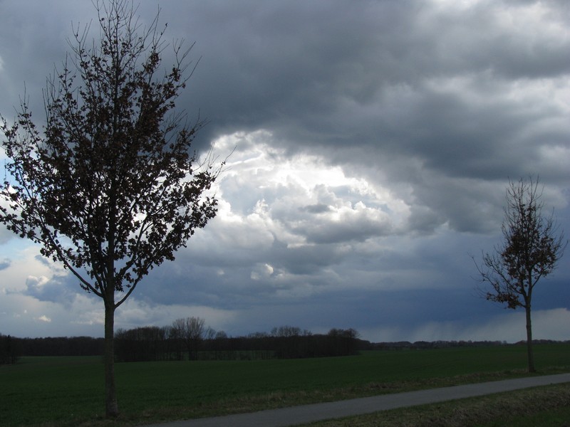 Nordwestmecklenburg Landschaft bei Grapen Stieten, 04.04.2010