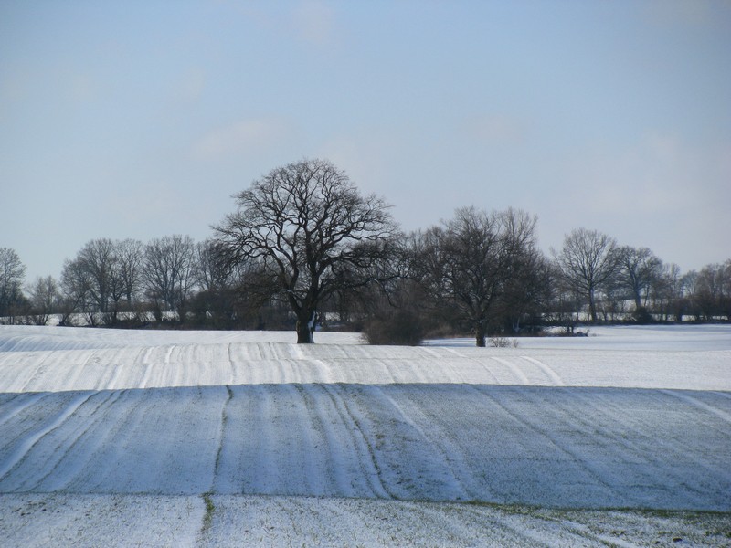 Nordwestmecklenburg; Landschaft bei Hanshagen an der Kreisstrae (K 17), 14.02.2009