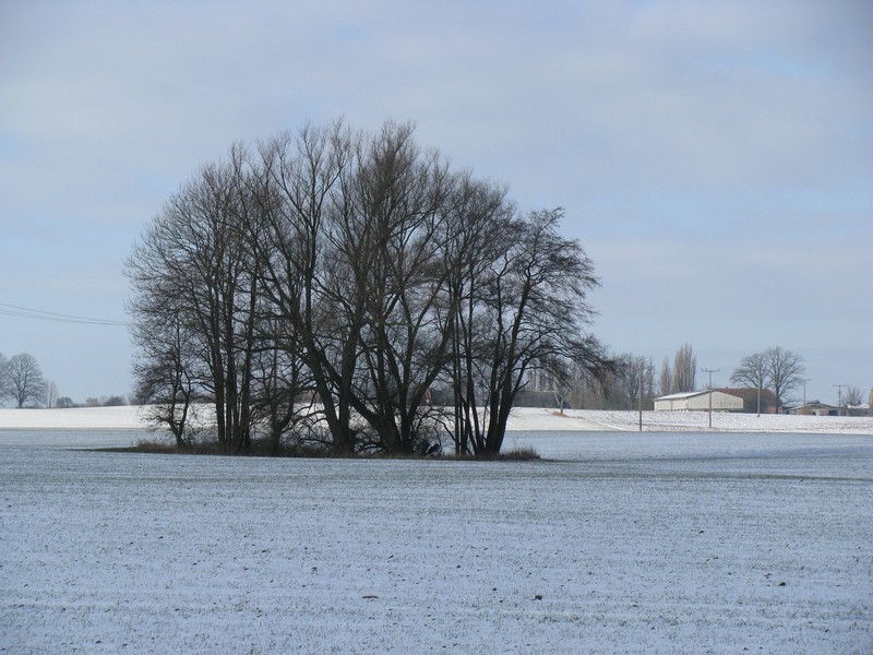 Nordwestmecklenburg; Landschaft bei Pieverstorf an der Kreisstrae (K 17) 12.02.2010
