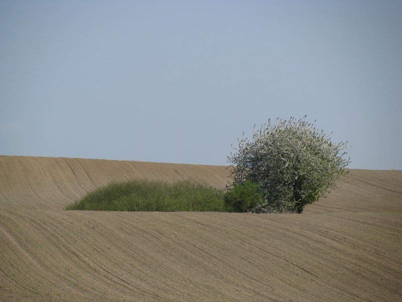 Nordwestmecklenburg, mecklenburgische Landschaft bei Thorstorf an der Strae K 18 von Damshagen nach Grevesmhlen 25.04.2011