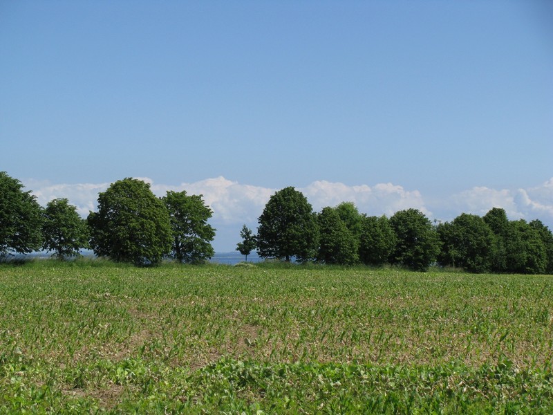 Nordwestmecklenburg [MV]; Blick zur Boltenhagenbucht von der Strae Boltenhagen/Redewisch nach Boltenhagen/Redewisch (Ausbau), Boltenhagen  22.06.2010