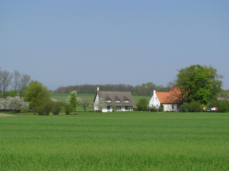 Nordwestmecklenburg, Strae Hohen Schnberg - Warnkenhagen, Blick nach Warnkenhagen 26.04.2011