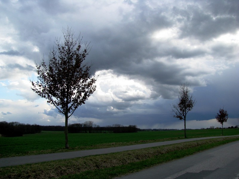 Nordwestmecklenburg; Wetterbild von der Strae Dorf Mecklenburg-Beidendorf, in der Nhe von Grapen Stieten, NWM [04.04.2010]