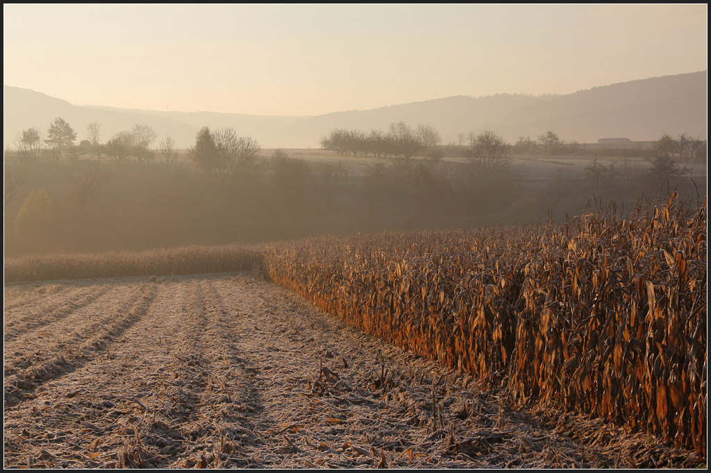 Novembermorgen im Remstal - 

Aufgenommen zwischen Kernen-Rommelshausen und Weinstadt-Endersbach. 

14.11.2011 (M)