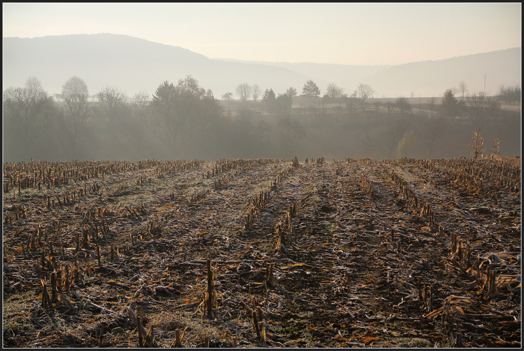 Novembermorgen im Remstal - 

Aufgenommen zwischen Kernen-Rommelshausen und Weinstadt Endersbach. 

14.11.2011 (M)