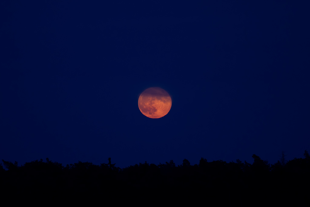 Nur fr kurze Zeit war der aufgehende Vollmond zusehen. - 04.06.2012