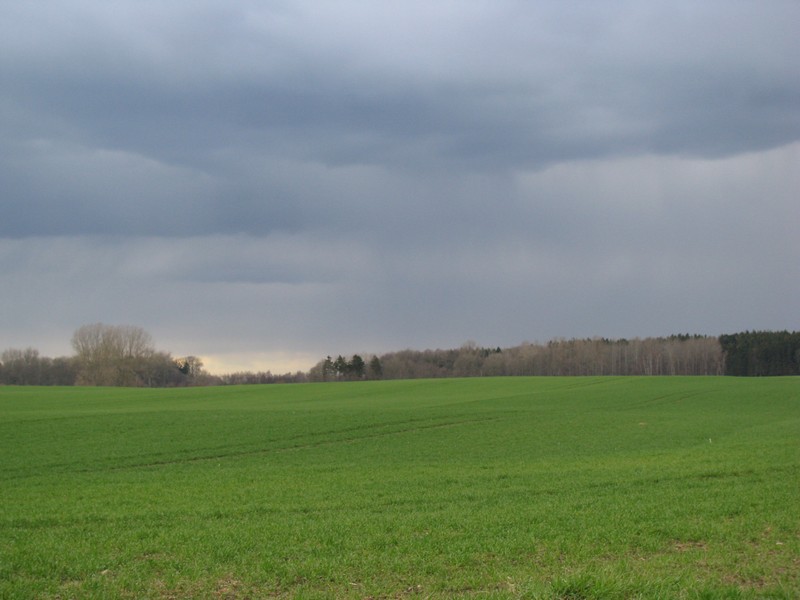 NWM; eine abziehende Regenfront konnte ich beobachten in der Nhe des Mhlenberges an Strae von Beidendorf nach Tressow, 04.04.2010