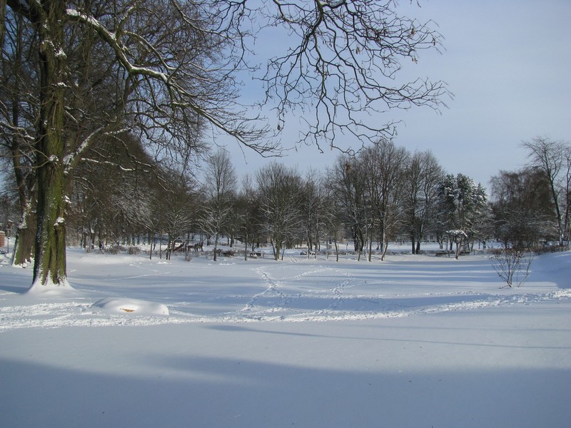 NWM, Grevesmhlen; die Brgerwiese im weien Winterkleid. [30.01.2010]
