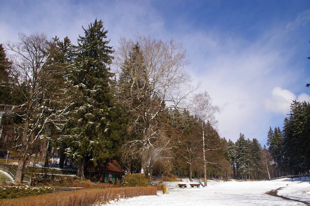 Ostern im Harz (Nhe Braunlage am 7.4.2012).