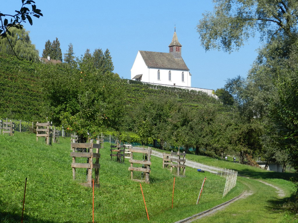 Parittische Bergkirche St. Nikolaus in Rheinau/ZH (26.09.2011)