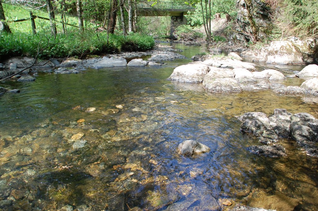 Perlenbach an der Mhlenweg. Im Hintergrund ist die Brcke der Strae zu erkennen. 7.5.2011