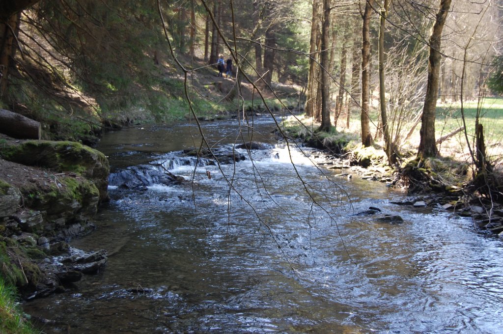 Perlenbachtal bei Moschau-Hfen am Samstag den 17.4.2010 bei bestem Sonnenschein.