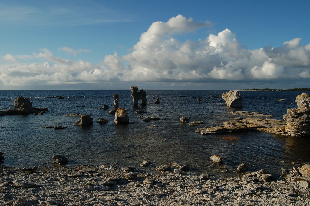 Raukar im Norden Gotlands. Kalkhaltige bereste von Riffstrukturen aus dem Ordovizium/Silur (Vor ca. 440 Millionen Jahren). 08.10.2011