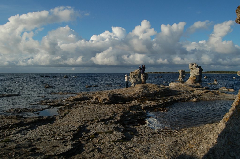 Raukar im Norden Gotlands. Kalkhaltige bereste von Riffstrukturen aus dem Ordovizium/Silur (Vor ca. 440 Millionen Jahren). 08.10.2011