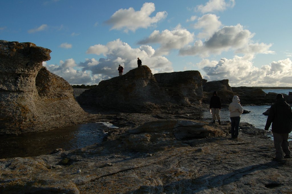 Raukar im Norden Gotlands. Kalkhaltige bereste von Riffstrukturen aus dem Ordovizium/Silur (Vor ca. 440 Millionen Jahren). 08.10.2011