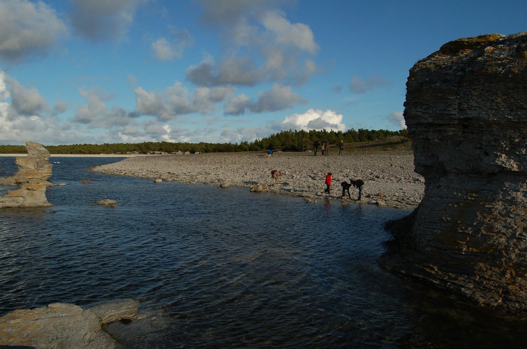 Raukar im Norden Gotlands. Kalkhaltige bereste von Riffstrukturen aus dem Ordovizium/Silur (Vor ca. 440 Millionen Jahren). 08.10.2011