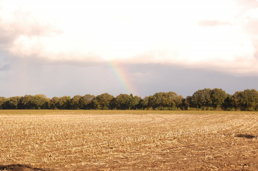 Regenbogen bei Wegberg Harbeck am Sonntag den 24.10.2010. An diesem Sonntag wechselten sich Regen und Sonne in rascher Folge ab.