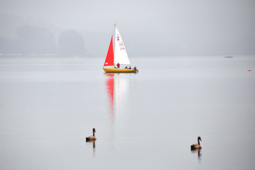 REICHENAU, 22.09.2011, Morgenidylle am Gnadensee, einem Teil des Bodensees