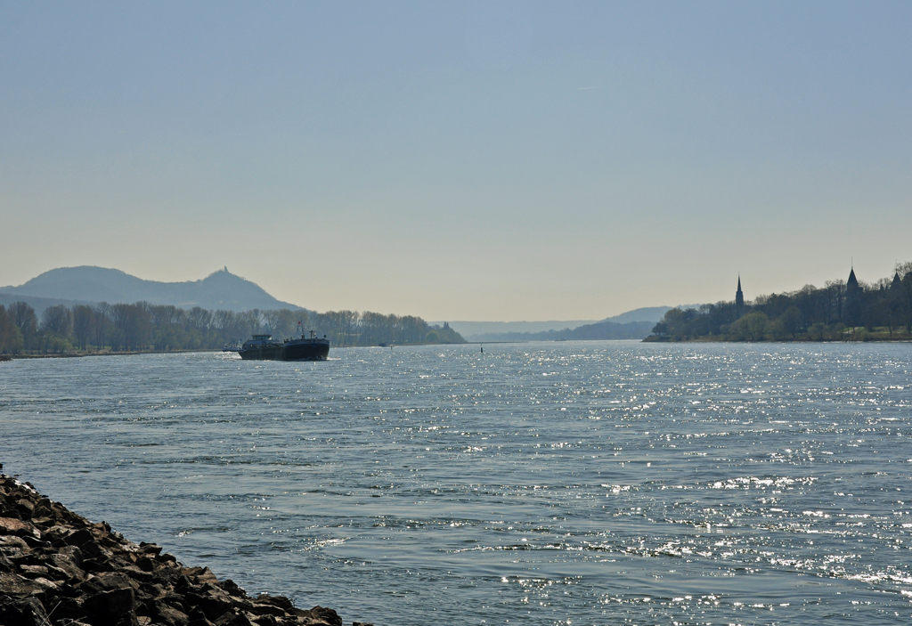 Rhein im Gegenlicht bei Bonn-Oberkassel in Richtung Sden - 26.03.2012