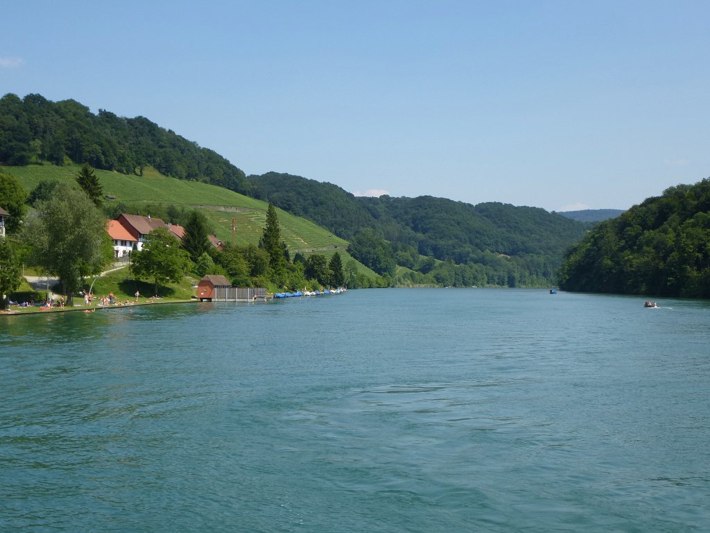 Rhein und Weinberge bei Eglisau/Schweiz, Juli 2013 