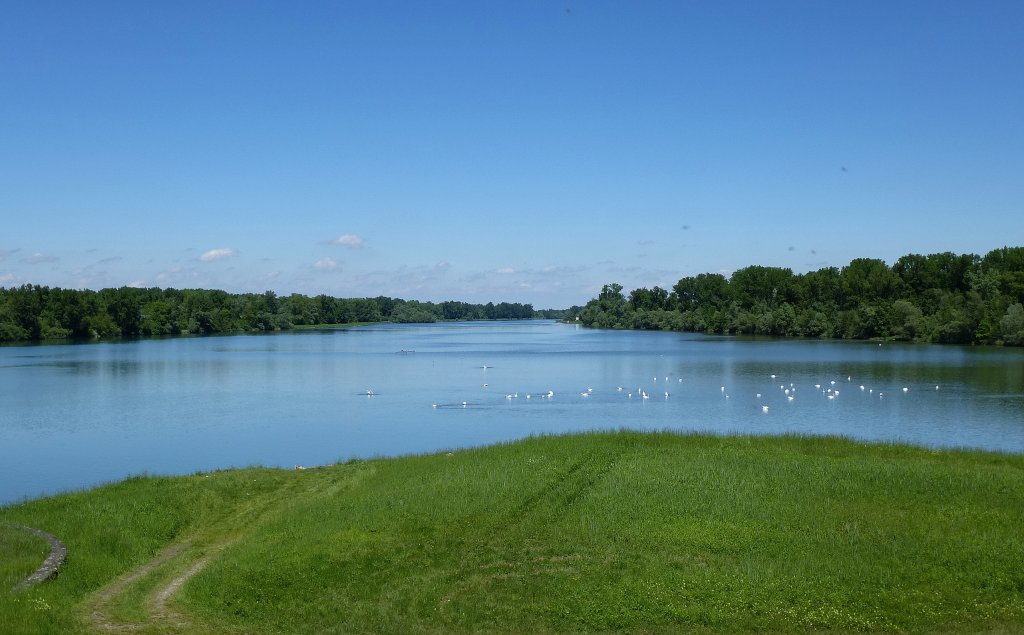 Rheinebene, Blick von der Staustufe bei Ottenheim auf den Altrhein, fluabwrts, Mai 2013