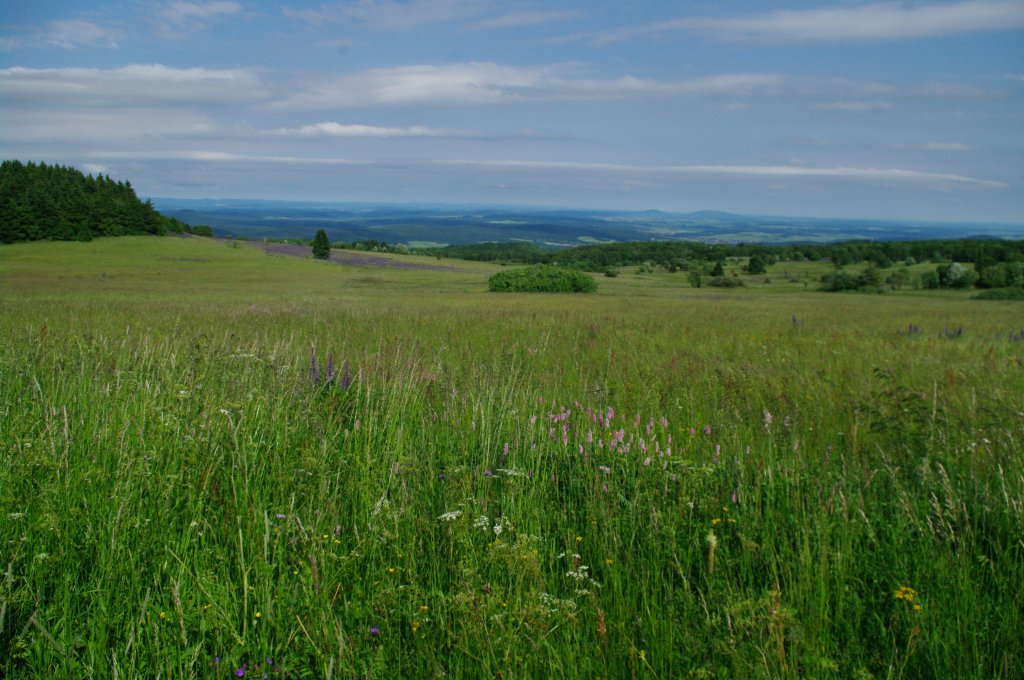 Rhn, Ausblick von der Rhn Hoch Strae Richtung Bischofsheim (16.06.2012)