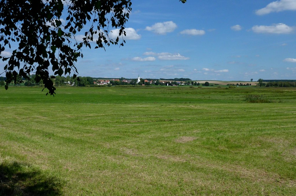 Riedlandschaft am Federsee mit der Ortschaft Seekirch, Aug.2012