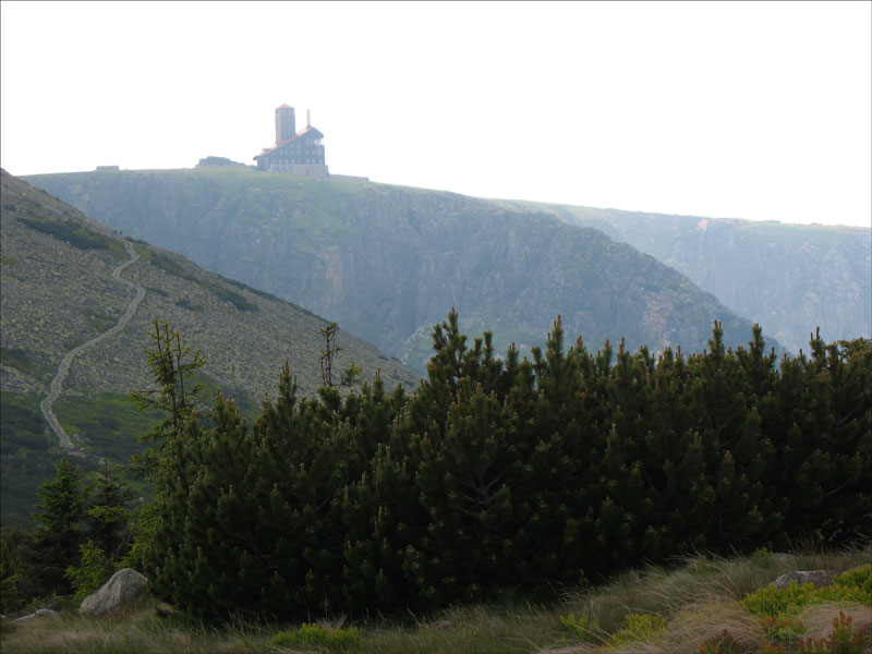 Riesengebirge polnische Seite (ehemals Schlesien): Blick vom polnisch-tschechischen  Freundschaftsweg  (Kammweg) zur Schneegrubenbaude (polnisch: Schronisko nad Śnieżnymi Kotłami); im Vordergrund das Hohe Rad, 1.509 m (polnisch: Wielki Szyszak, tschechisch: Vysok Kolo); 25.06.2010
