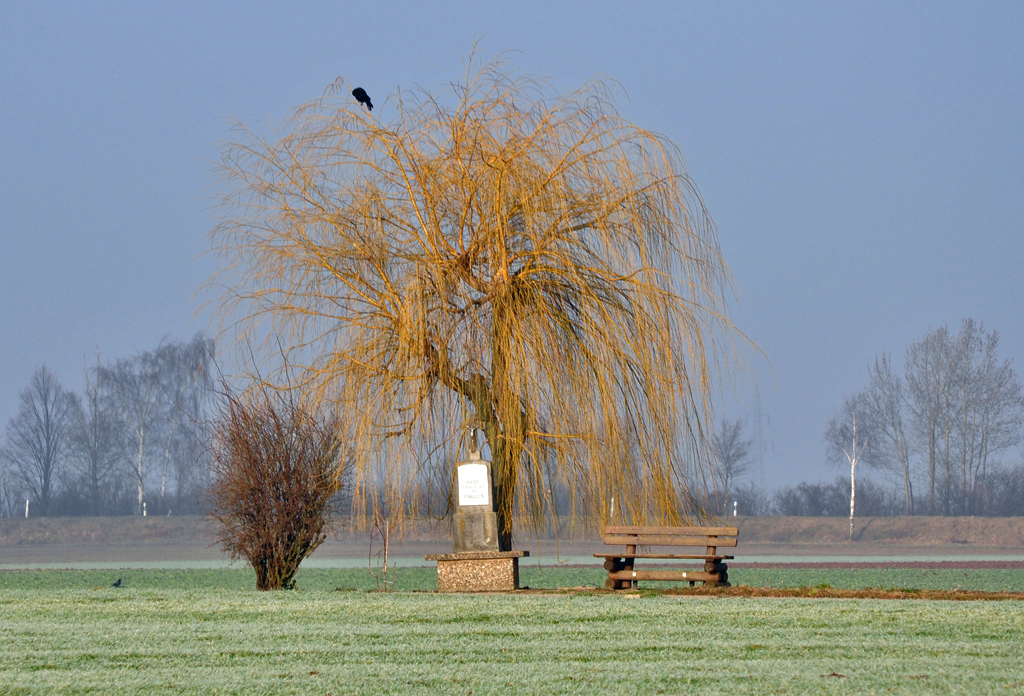 Ruhepol in der Natur ... Rabe auf Baum, Gedenkstein und Bank zum relaxen - Oberelvenich im Kreis Euskirchen - 30.01.2011