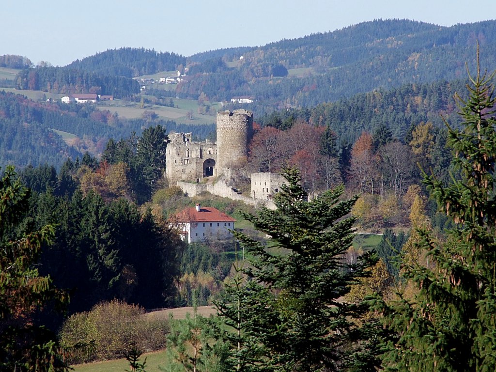 Ruine-Prandegg im Mhlviertler Land  wurde erstmals 1237 erwhnt;101029