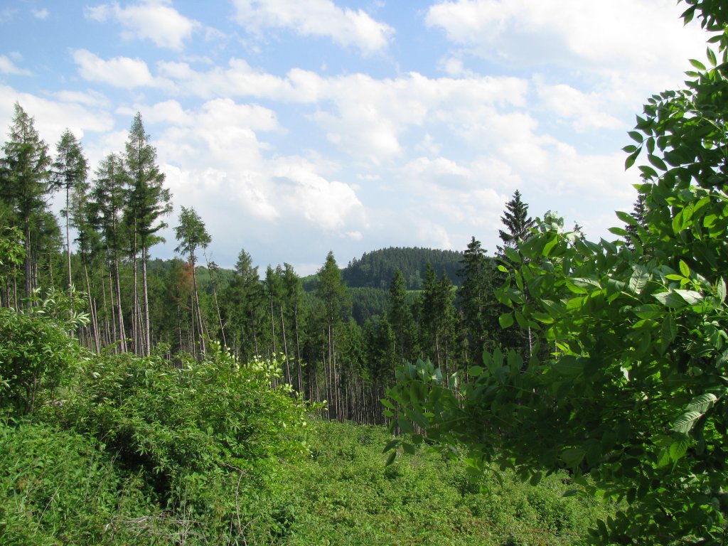 Saale-Orla-Kreis; Thringer Landschaft, SOK [22.05.2009]